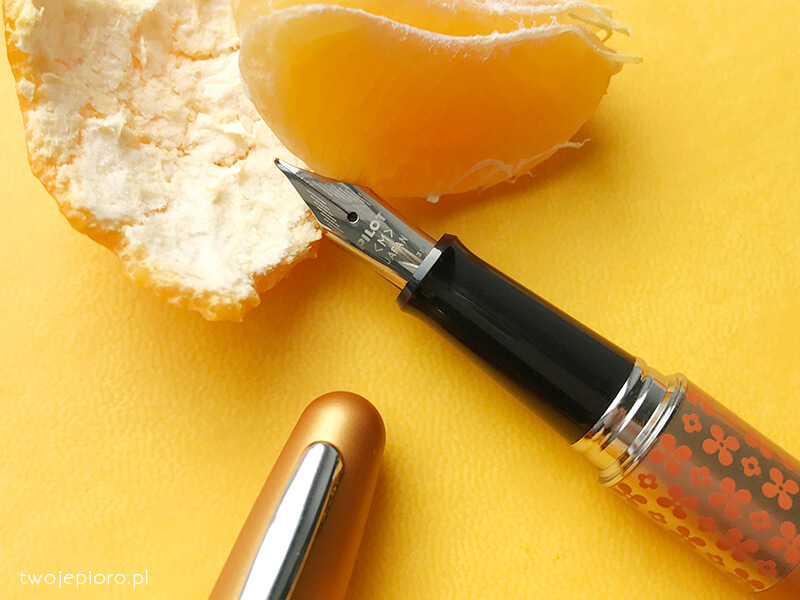 Pióro wieczne Pilot MR